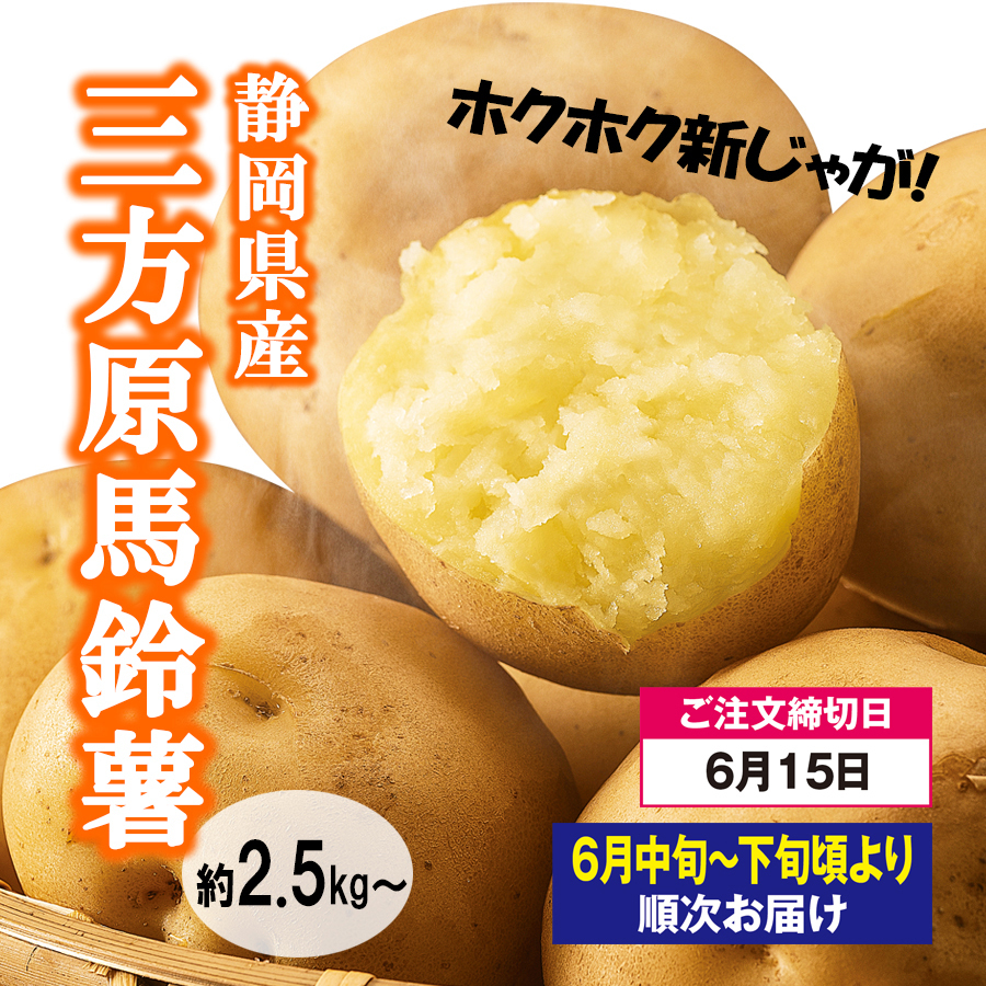 予約限定品＞静岡県産 三方原馬鈴薯-ことせ(ことせ通販)