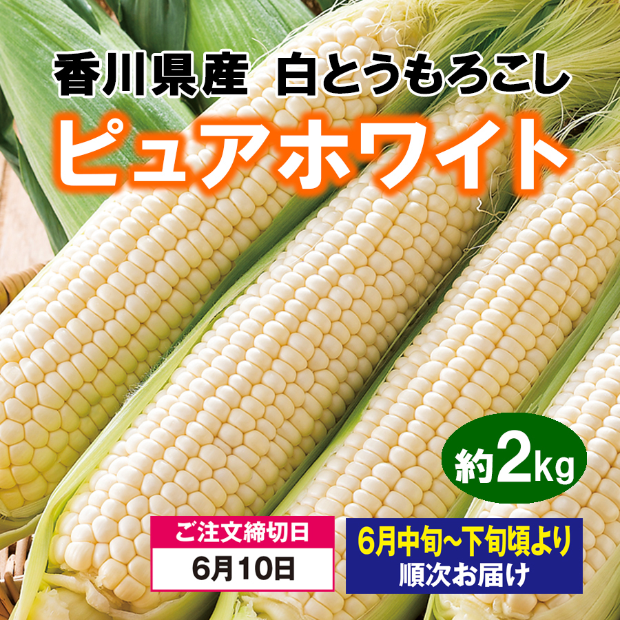 ピュアホワイト６本  C.O様 Nike Atsuma 'White' CD5461-100