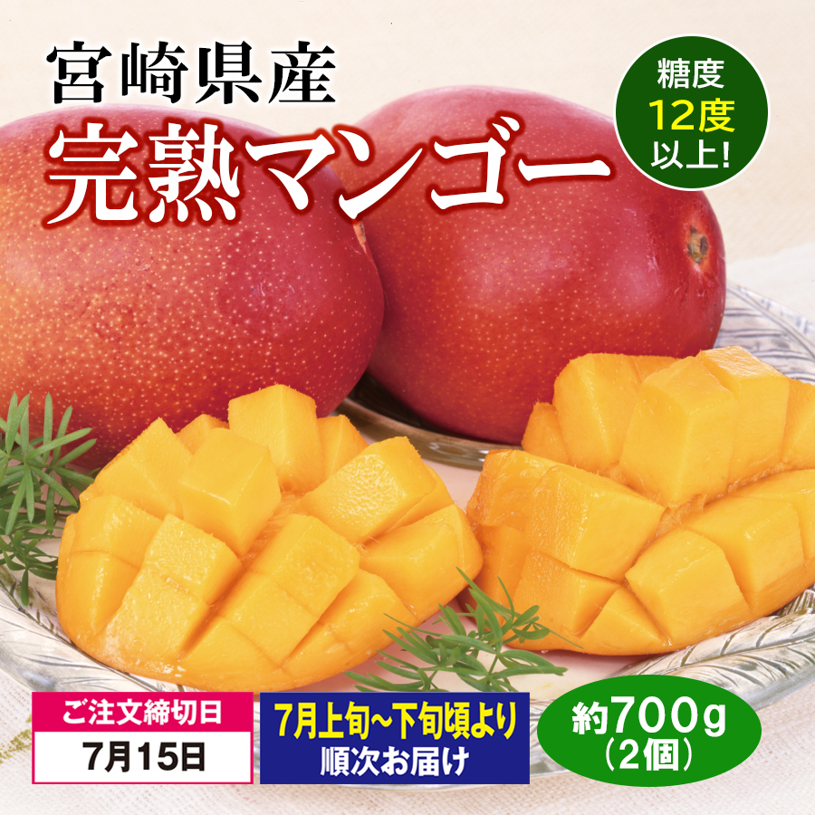 予約限定品＞宮崎県産 糖度選別完熟マンゴー-ことせ(ことせ通販)