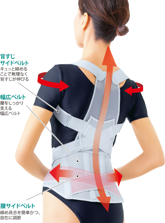 お医者さんの腰から正す姿勢ベルト-ことせ(ことせ通販)
