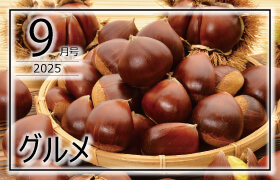 おすすめ特集