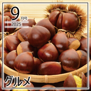 おすすめ特集